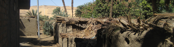 IMG_1724_2.jpg